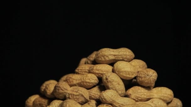 Footage Peanut Dark Background — Stockvideo