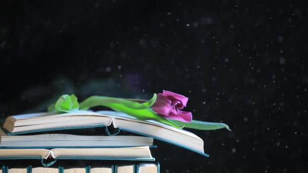 书籍的镜头 花朵灰尘 深色背景 — 图库视频影像