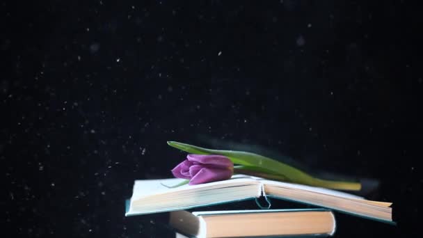 Кадри Книг Квітка Пилу Темний Фон — стокове відео