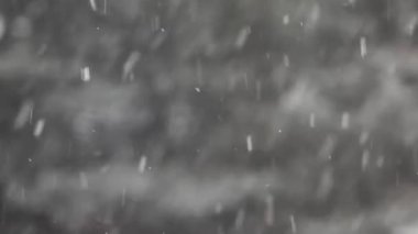 Kar ağacı arkaplanının görüntüleri 