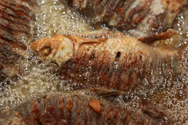 Imagen Fondo Pescado Frito —  Fotos de Stock