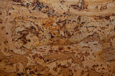 Ahşap mantar arkaplan resmi