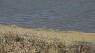 Göl dalgası arkaplanının görüntüleri