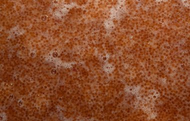 Turna balığı havyarı arkaplanının resmi