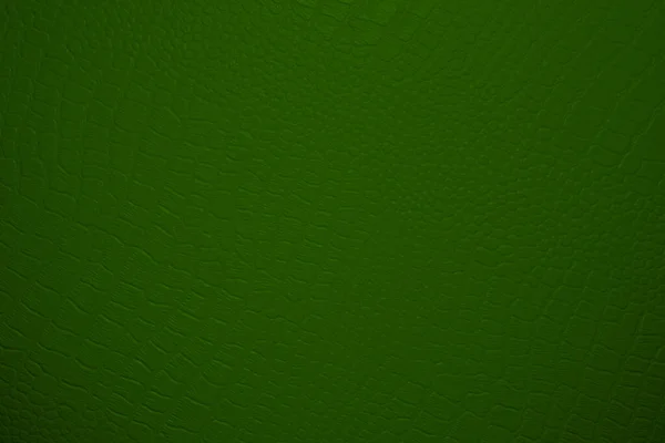 Image Green Leather Background — Stock Photo, Image