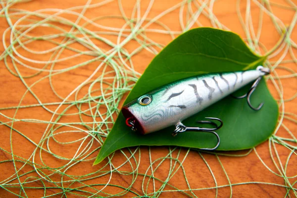 Imagen Hoja Pesca Cebo Cuerda Escritorio Madera Fondo —  Fotos de Stock