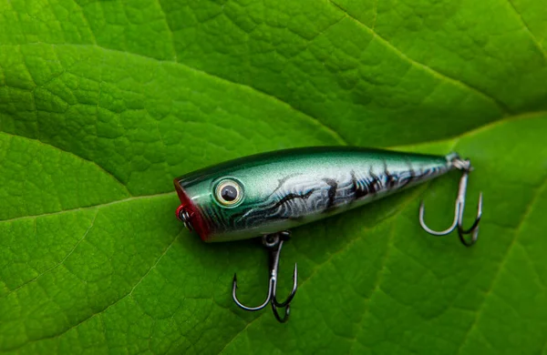 Balıkçılık Yemi Yeşil Yaprak Arkaplanı — Stok fotoğraf