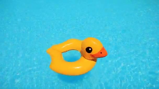 Plastik Ördek Yüzme Havuzu Görüntüleri — Stok video