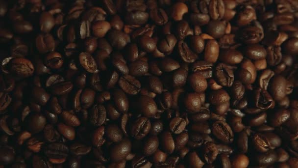 咖啡种子背景片段 — 图库视频影像