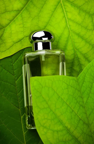 Imagen Vidrio Perfume Botella Hoja —  Fotos de Stock