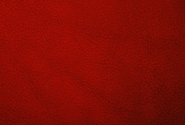 Image Red Leather Background — Stock Photo, Image