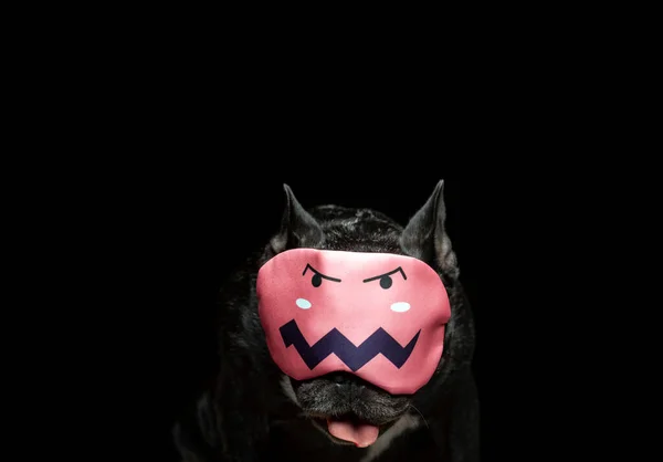 Image Dog Mask Dark Background — Stock Photo, Image