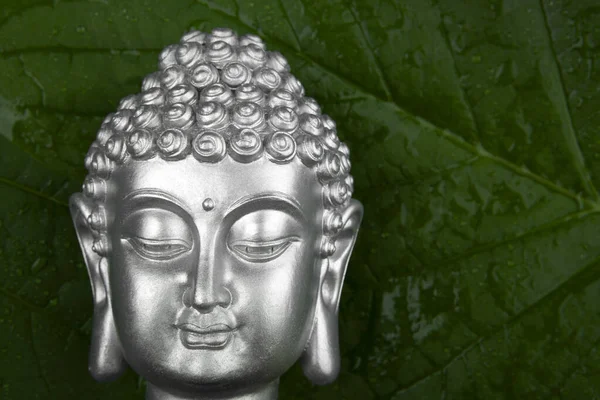 Obrázek Buddhovy Hlavy Zelený List — Stock fotografie
