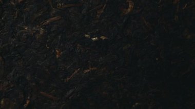 Siyah çay arkaplanının görüntüleri 