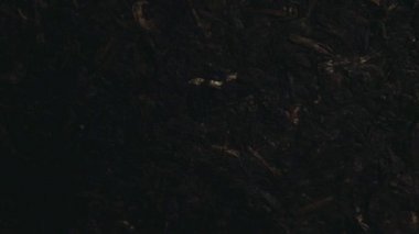 Siyah çay arkaplanının görüntüleri 