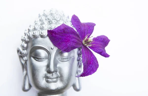 Obrázek Buddhovy Hlavy Květiny — Stock fotografie