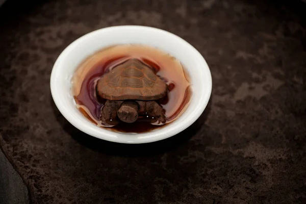 茶杯龟的形象 — 图库照片