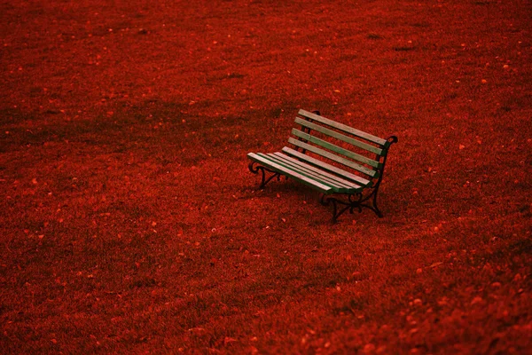 赤い草の上の木製のベンチ — ストック写真