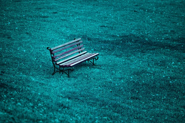 Wooden bench on the blue grass — Stock Photo, Image