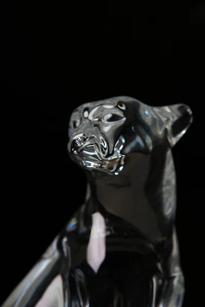 猎豹玻璃图 — 图库照片