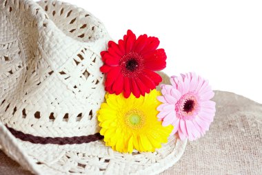 gerbera ile hasır şapka