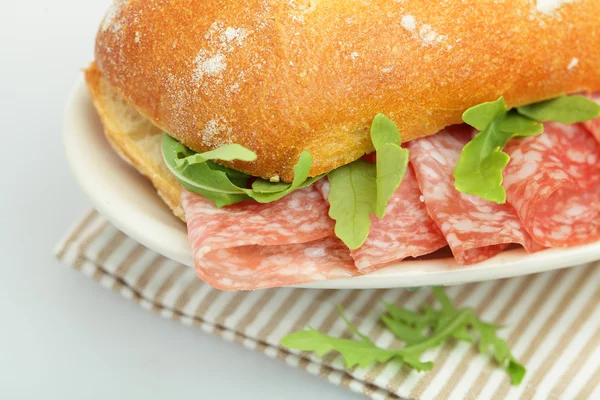Sandwich with Salami, Traditional Food — Stock Photo, Image