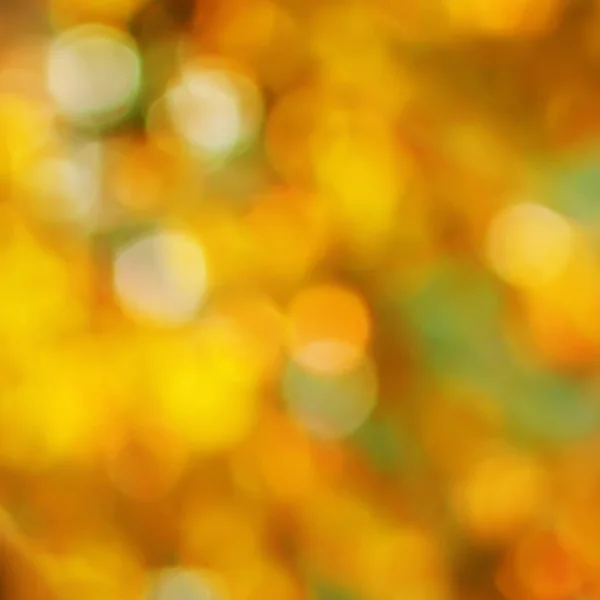 Herbst Hintergrund mit Ahornblättern. Fallgrenze — Stockfoto