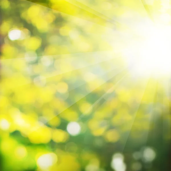 緑の葉夏背景とボケ味のキラキラ — ストック写真