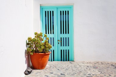 Kapı ve bitki Santorini Island, Yunanistan