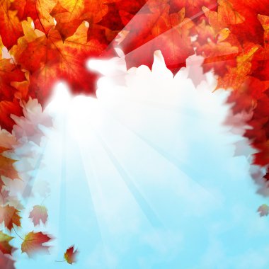Sonbahar gökyüzü arka plan üzerinde bırakır. Sonbahar yaprakları ve güneş kızdırma Lightl