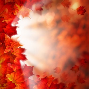 Sonbahar özgeçmişlerine sonbahar yaprakları