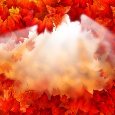 Sonbahar arka plan. Sonbaharda akçaağaç yaprakları ve sabah güneş