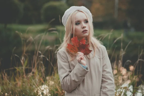 Romantyczna Jesienna Kobieta Jesiennymi Liśćmi Jesiennym Tle Natury — Zdjęcie stockowe