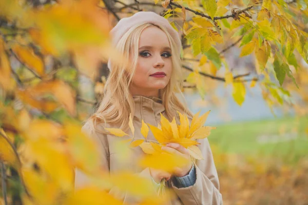 가을의 나뭇잎을 자연의 배경을 아름다운 — 스톡 사진