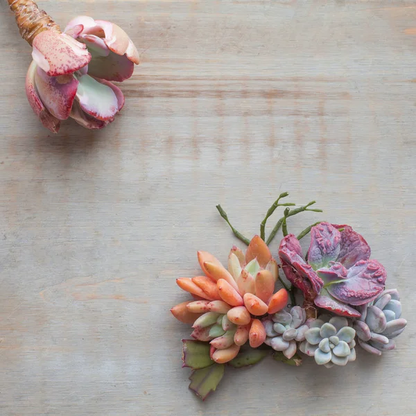 Minimale Flatlay Komposition Mit Saftigen Blumen Auf Vintage Holzbrett Hintergrund — Stockfoto