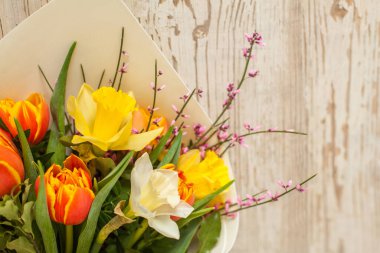 Güzel çiçekler laleler ve nergisler beyaz, eski, ahşap arka planda fotokopi alanı, çiçek kartıyla.