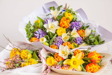 Mavi sümbüller, sarı ve turuncu laleler ve beyaz nergis çiçekleri, çiçekli arka plan