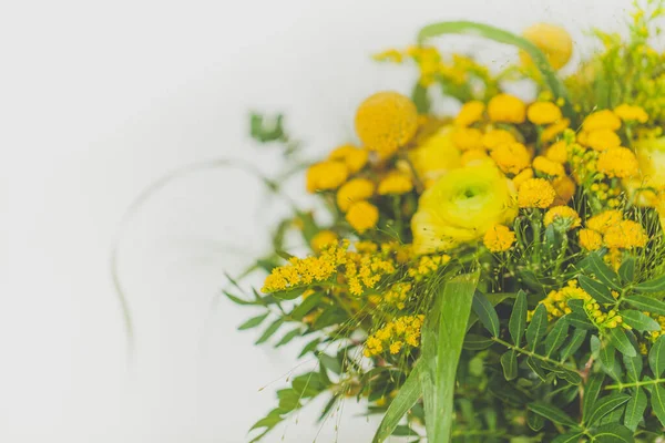 Fiori Gialli Sfondo Bianco — Foto Stock