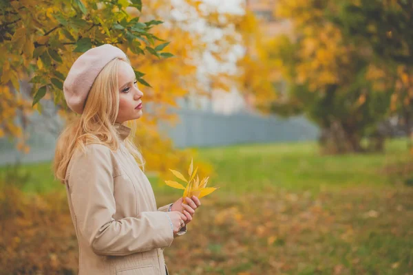 Schöne Frau Die Herbst Draußen Spaziert Nettes Weibliches Modell Sammelt — Stockfoto