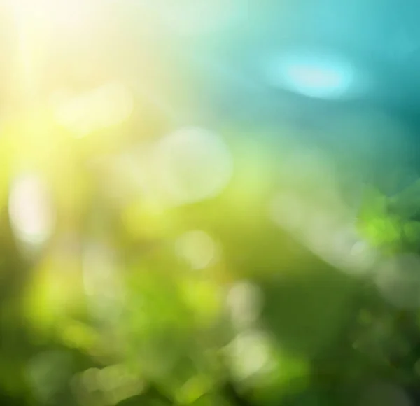 Grüner Bokeh Hintergrund Der Natur Grüne Waldblätter Und Blauer Himmel — Stockfoto
