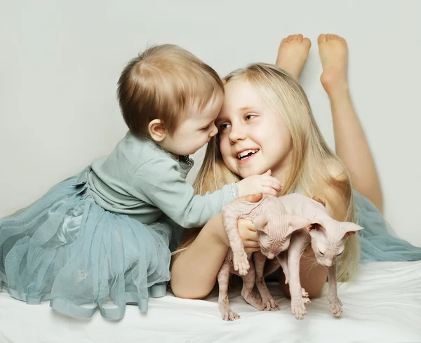 Cute kids and cats — Stock Photo, Image