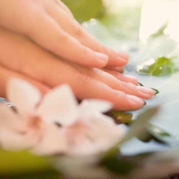 Fondo de manicura con mano y agua —  Fotos de Stock