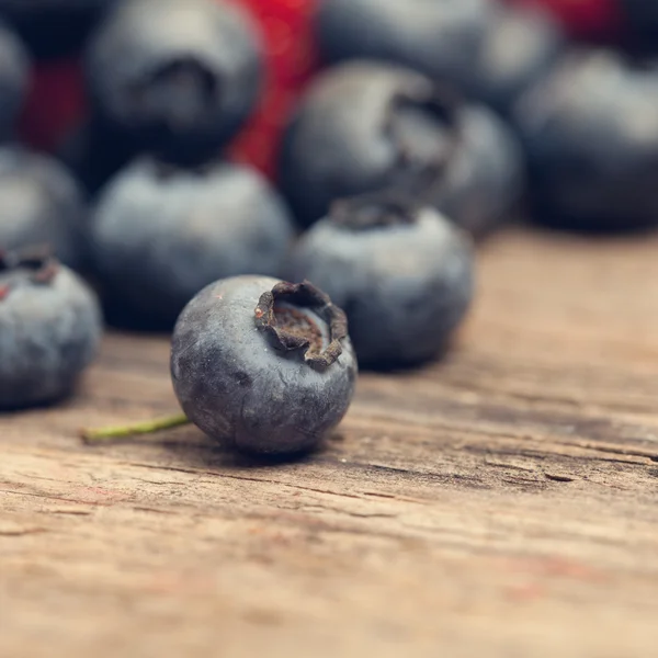 Blueberry makro sommar mat bakgrund — Stockfoto