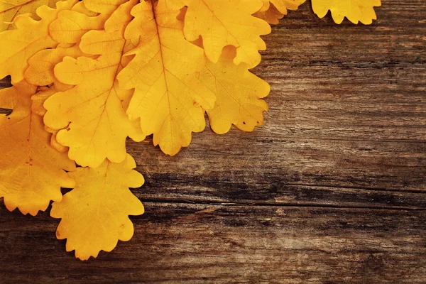Fundo do outono com folhas de carvalho amarelo em madeira — Fotografia de Stock