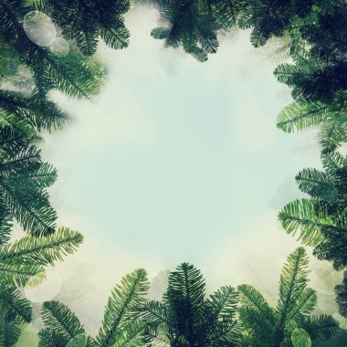 Yeni yıl Noel için çerçeve. Sağlıklı köknar dal, ışık mavi Sk