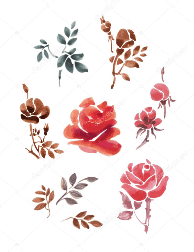 Set of watercolor flowers and leaves. Roses on a white background.