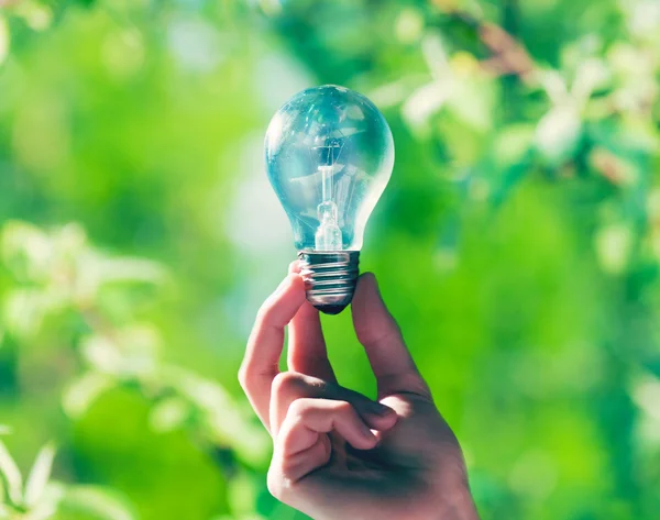 Lampadina a mano su sfondo verde natura — Foto Stock