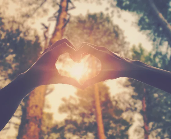 Hands in shape of love heart — Stock Photo, Image