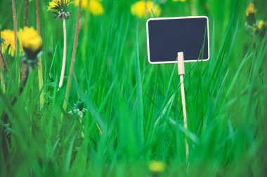 Hakları Kurulu, metin çim için ahşap boş levha