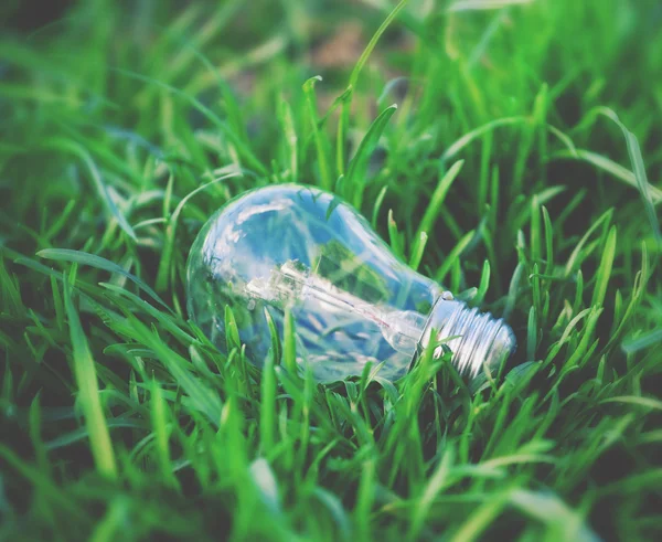 Ampoule dans une herbe. Environnement, énergie et concept d'idée . — Photo